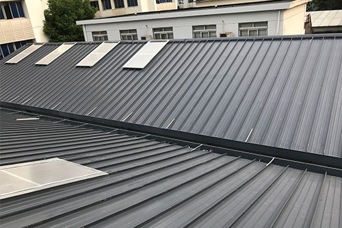 教育類項目——東華大學屋麵（miàn）